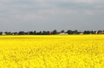 Arbeitsraum: Stress, Flow und Ressourcen